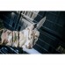 Fleece gloves Stich Profi