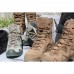 Tactical boots LOWA Z-8S GTX Colour: COYOTE