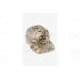 Armacon MultiCam Cap