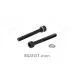 Kit of M4 Screws for Hort Gas Tube by Armacon