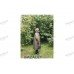 Expert-Tex Transformer Poncho XL - Poncho, Jacket, Bag, Tarp