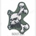 Patch PVC Skull and Bones Oliva
