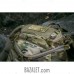 Rubicon 20 backpack